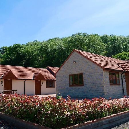 Lillypool Farm Otel Shipham Dış mekan fotoğraf